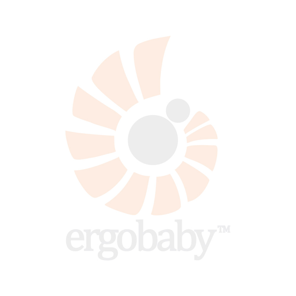 Ergobaby natural curve nursing pillow deals review