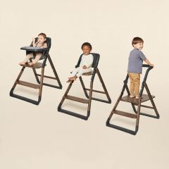 Ergobaby Evolve High Chair System: Dark Wood