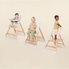 Ergobaby Evolve High Chair System: Natural Wood