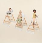 Ergobaby Evolve High Chair System: Natural Wood