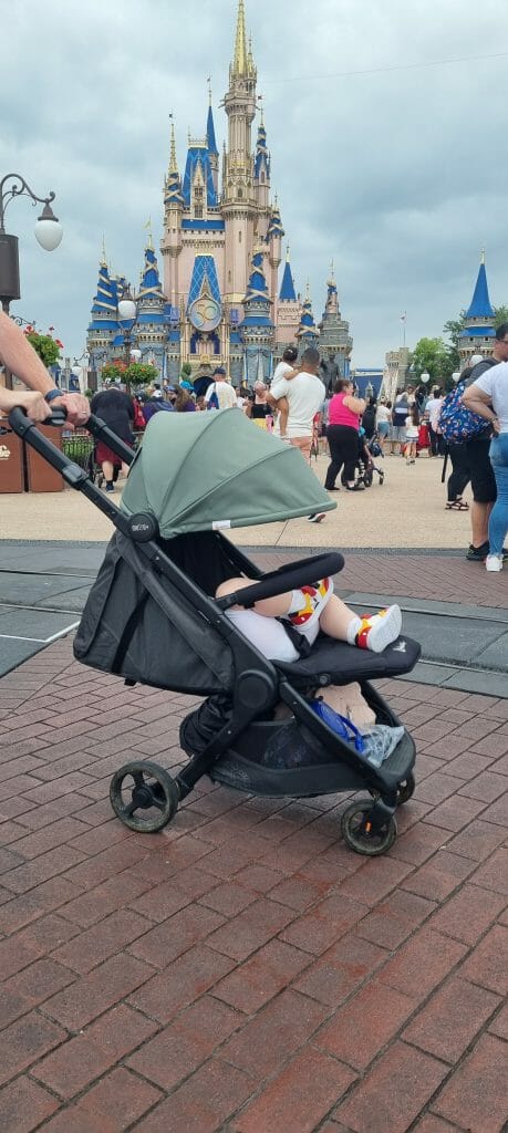 Ergobaby Stroller at disneyland